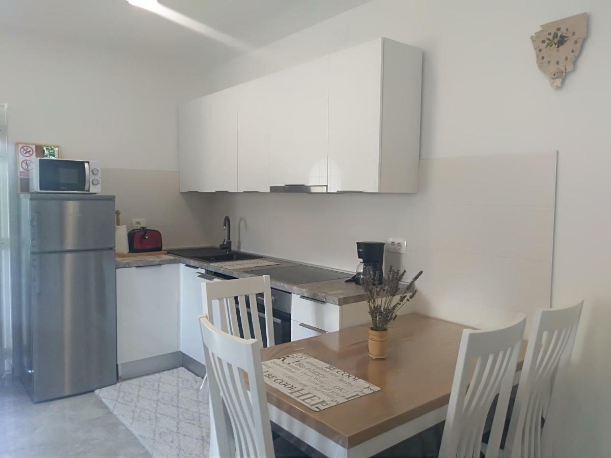 Apartment Ivana Novigrad Istria Extérieur photo