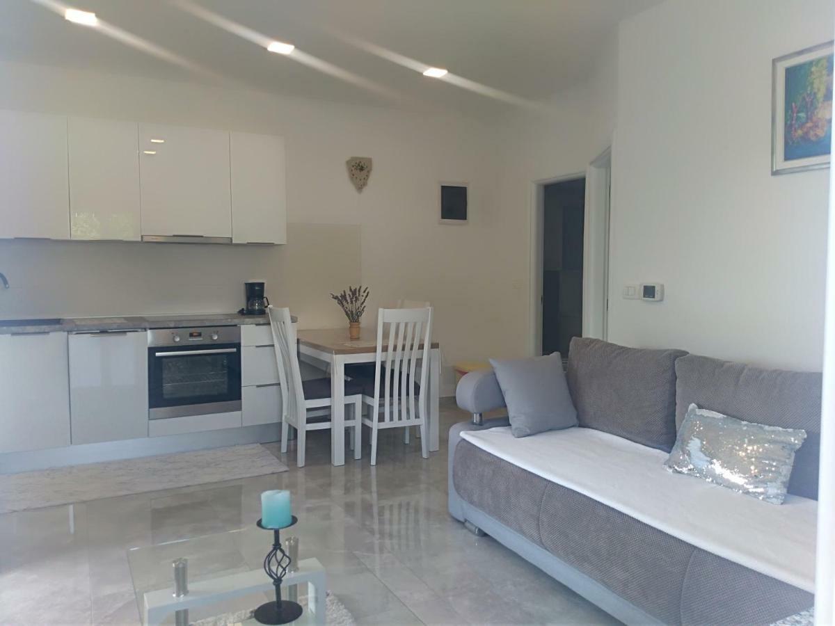Apartment Ivana Novigrad Istria Extérieur photo